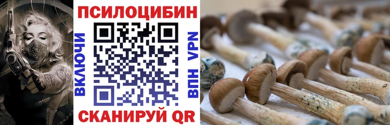 Галлюциногенные грибы ЛСД  Армавир 